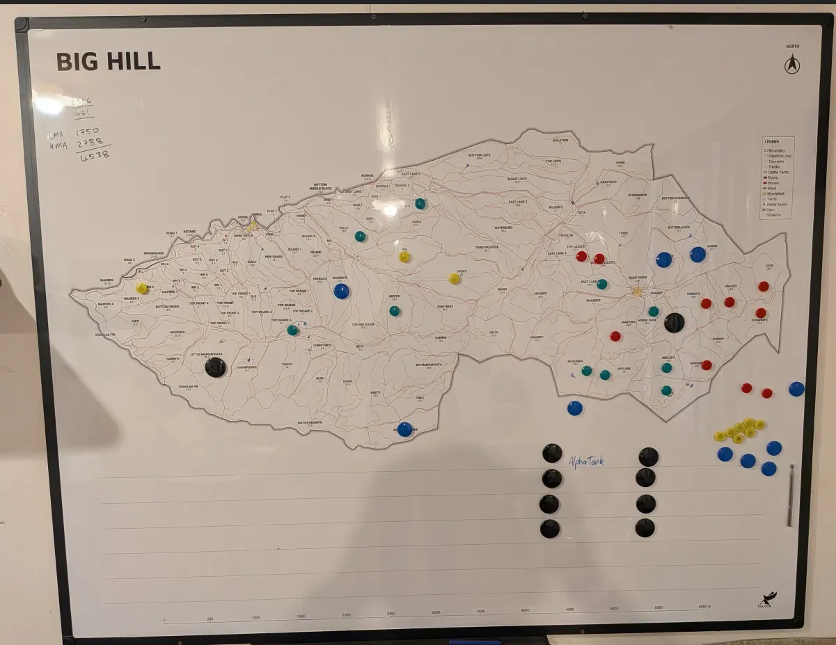 Service Overview