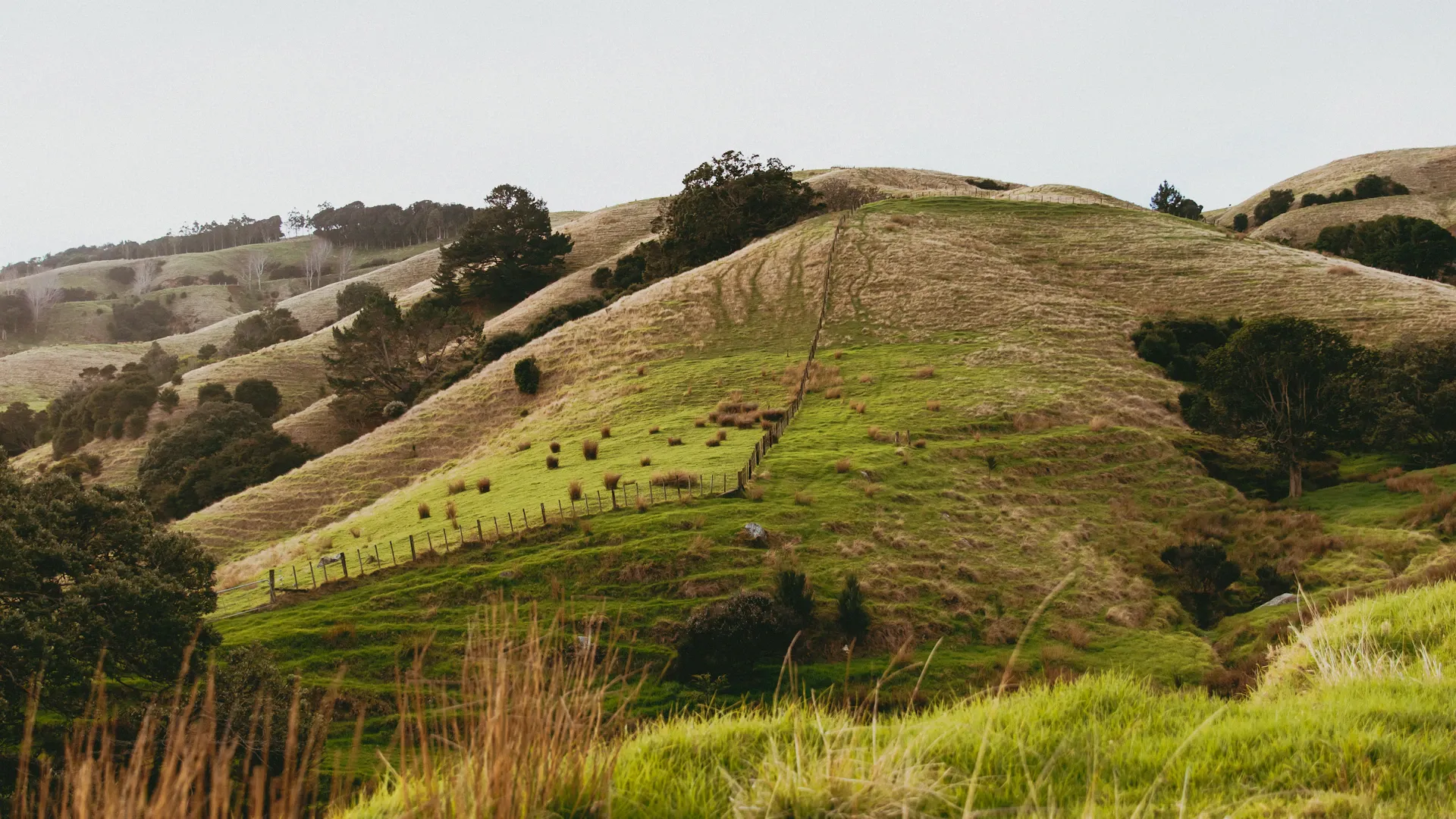Highly Productive Land: What It Means for Your Farm — and What Just Changed